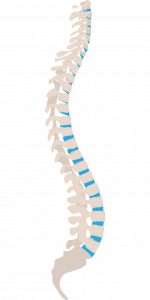 Are Inversion Tables Good For Herniated Discs