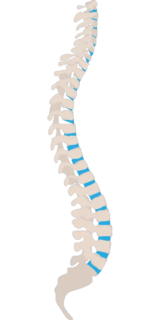 are-inversion-tables-good-for-herniated-discs