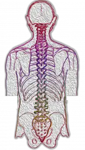 inversion table exercises for scoliosis