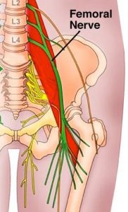 Femoral Nerve