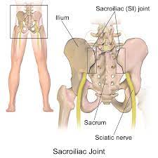 Can a Chiropractor Help With SI Joint Pain