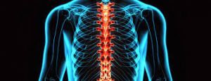 Should A Chiropractor Take X Rays Before Treatment