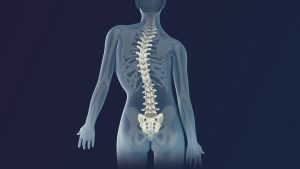 Can Chiropractors Help With Scoliosis